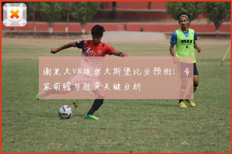 谢里夫vs埃尔夫斯堡比分预测:专家前瞻与胜负关键分析