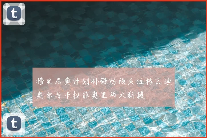 穆里尼奥计划补强防线关注格瓦迪奥尔与卡拉菲奥里两大新援