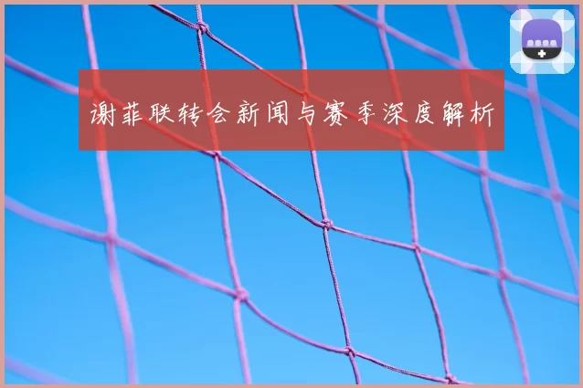 谢菲联转会新闻与赛季深度解析