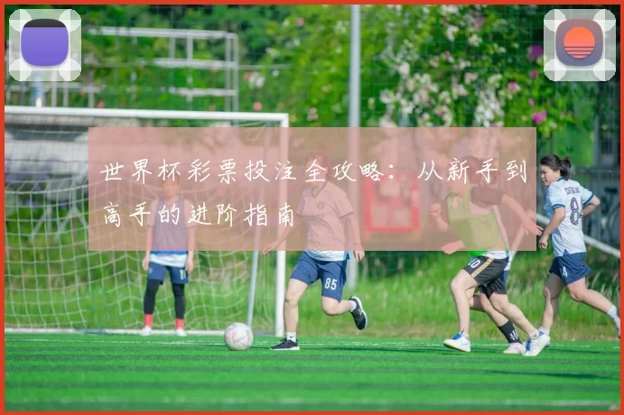 世界杯彩票投注全攻略:从新手到高手的进阶指南
