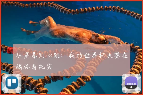 从屏幕到心跳:我的世界杯决赛在线观看纪实