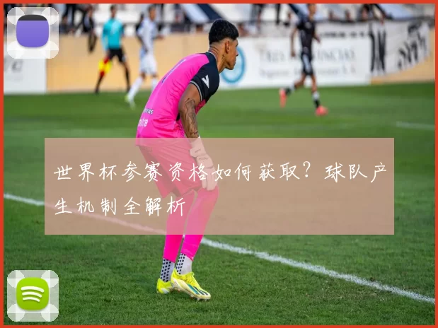 世界杯参赛资格如何获取？球队产生机制全解析