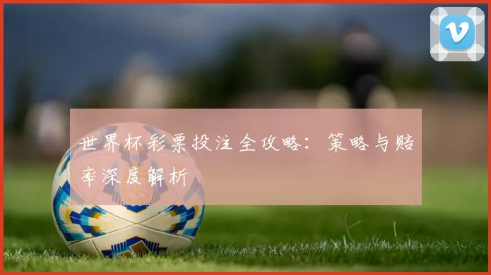 世界杯彩票投注全攻略:策略与赔率深度解析