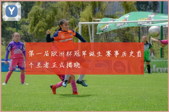 第一届欧洲杯冠军诞生 赛事历史首个王者正式揭晓