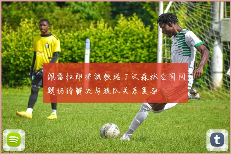佩雷拉即将执教诺丁汉森林合同问题仍待解决与狼队关系复杂