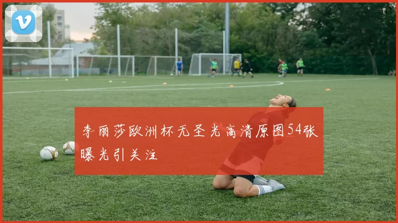 李丽莎欧洲杯无圣光高清原图54张曝光引关注